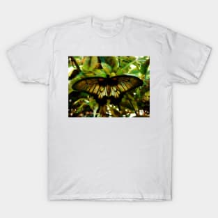 The Butterfly's' Abstraction T-Shirt